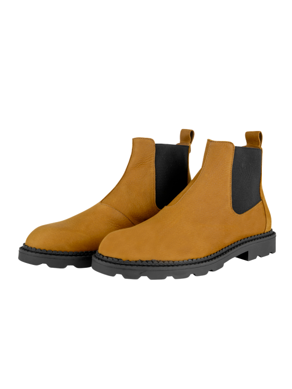 Zonino ankle boots