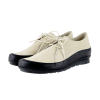 Baroha derbies